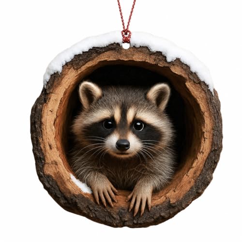 Funny Christmas Ornaments - Raccon Gifts - Raccoon Christmas Ornaments - Animal Lovers Ornaments - Racoon Ornament - Christmas Ornament 2026 - White Elephant Gifts - Xmas Tree Funny Decoration - color: Racoon3