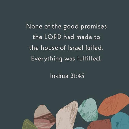 Joshua - Bible Study Book with Video Access: Every Good Promise Fulfilled