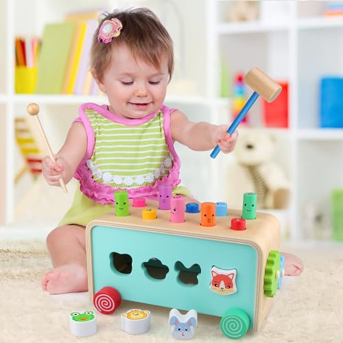 Montessori Baby Hammer Pounding Toy for Toddlers Boys Girls 2 3 4 Years Old, Educational Learning Toy Xylophone Color Shape Easter Basket Stuffers for Toddlers Valentine's Day Gift