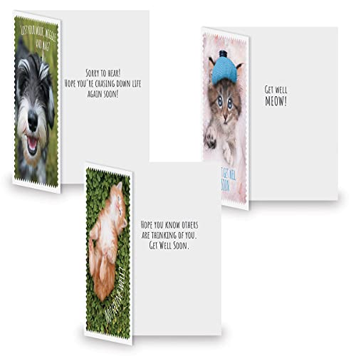 Current Get Well Greeting Card Set - color: Furry Friends