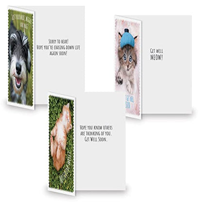 Current Get Well Greeting Card Set - color: Furry Friends