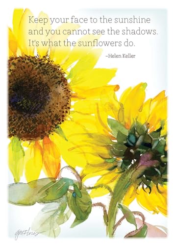 KJV Face to the Sunshine Get Well Card, 1 Count - color: Face to the Sunshine