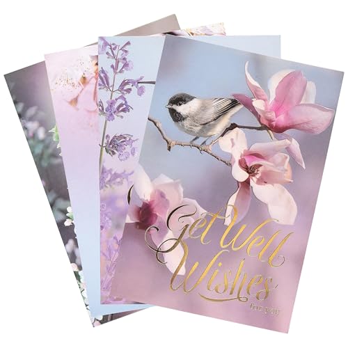 Mardel Three Roses, Birds & Flowers Get Well Boxed Cards, 12 Cards & Envelopes