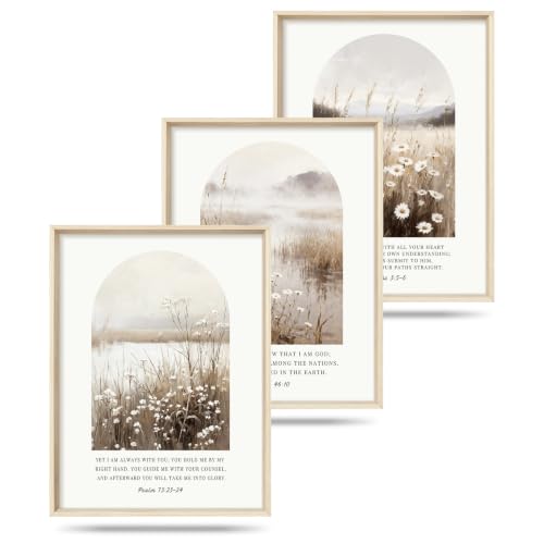 Christian Bible Verse Scripture Daisy Framed Canvas Wall Art Set-12"x16"x3 - color: Christian Bible Verse Wall Art, size: 12"L x 16"W