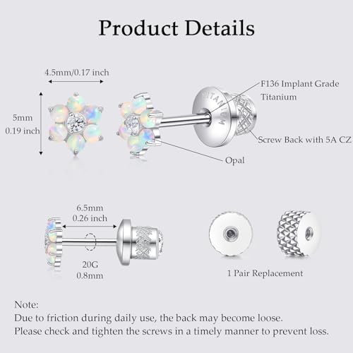 Limerencia Titanium Flat Back Screw Back Stud Earrings for Women Men - color: Silver 4