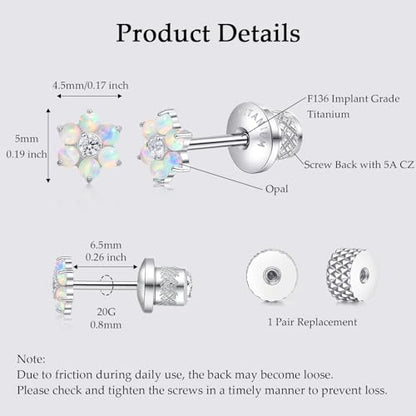 Limerencia Titanium Flat Back Screw Back Stud Earrings for Women Men - color: Silver 4