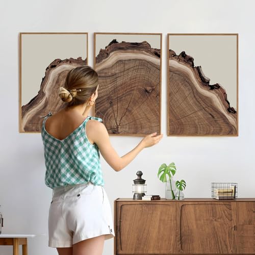SIKERIC Framed Nature Tree Ring Wall Art, (24X36 inch) Modern Wood Stump Canvas Wall Art Set Of 3,Large Wood Tree Spiral Art Prints, Abstract Wall Painting for Living Room, Bedroom, Office - color: Nature Tree Ring, size: 24"L x 36"W