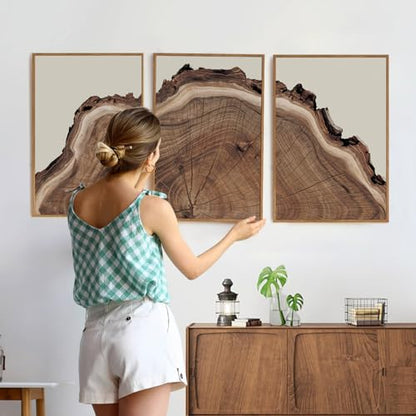 SIKERIC Framed Nature Tree Ring Wall Art, (24X36 inch) Modern Wood Stump Canvas Wall Art Set Of 3,Large Wood Tree Spiral Art Prints, Abstract Wall Painting for Living Room, Bedroom, Office - color: Nature Tree Ring, size: 24"L x 36"W