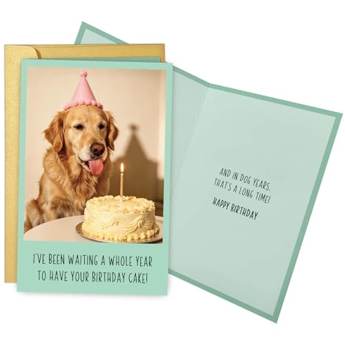 Qiliji Funny Dog Birthday Card for Him Her, Humor Bday Card for Dog Lover, Bday Cards from Dogs, Waiting A Whole Year to Have Your Birthday Cake - color: Dog Birthday