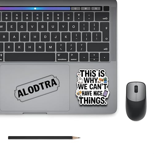 (3PCS) This is Why We Can't Have Nice Things Vinyl Sticker Pack Durable Waterproof Stickers for Laptop Water Bottle Car Bumper Phone Case - color: This is Why We Can't Have Nice Things