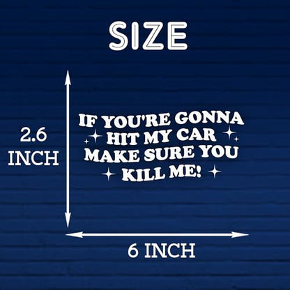 If You're Gonna Hit My Car Make Sure You K*ll Me Car Decal Funny Mental Health Joke Hilarious Car Windows Trucks Accessories Affirmations Vinyl Waterproof 6 Inches Bumper Sticker Gift for Friend Mom - style: If You're Gonna Hit My Car