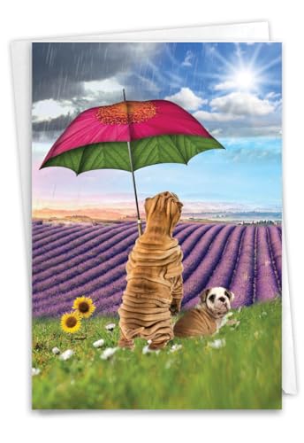 NobleWorks - 1 Funny Get Well Greeting Card - Hilarious Feel Better Notecard with Envelope - Raining Dogs C6823FGWG - style: Raining Dogs