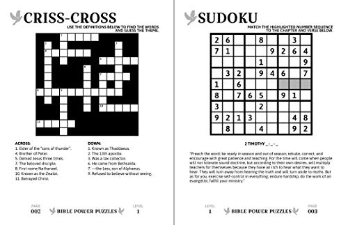 Bible Power Puzzles: 500 Scripture-Inspired Games―Learn the Word of God Through the Power of Puzzles! (Large Print)