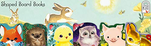 A Little Chick - Children's Animal Shaped Board Book