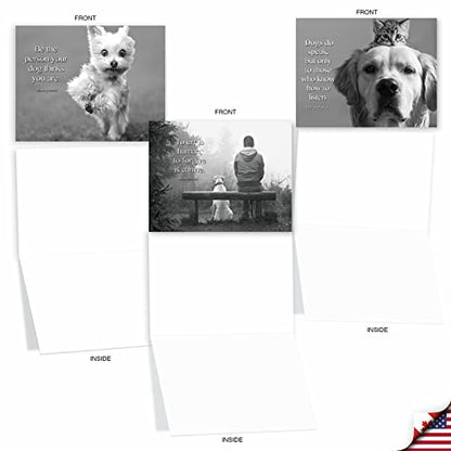 The Best Card Company - 10 Assorted Blank All Occasions Notecards Boxed Set 4 x 5.12 Inch w/Envelopes Dogs Inspirational Quote, Men, Women (10 Designs, 1 Each) - Canine Comments M1623BN-NB - style: Canine Comments