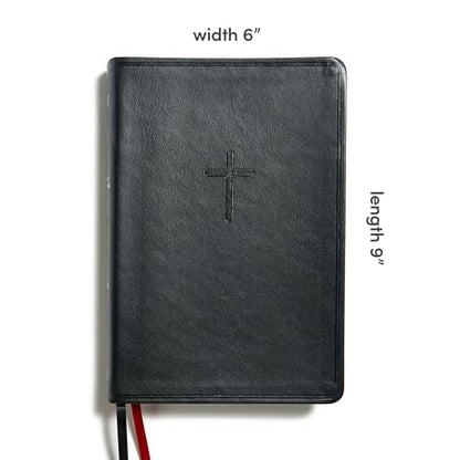 KJV Everyday Study Bible, Black LeatherTouch, KJV Holy Bible, Black Letter, Pure Cambridge Text, Study Notes and Commentary, Illustrations, Articles, Charts, Easy-to-Carry, Easy-to-Read Bible MCM Type
