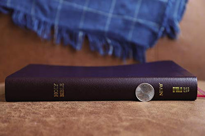 NIV, Thinline Bible, Giant Print, Bonded Leather, Burgundy, Red Letter, Comfort Print