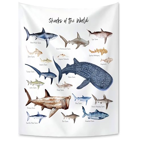 KAIOUS Shark Wall Hanging Tapestry for Kids, 28x38 - color: Shark, size: 38"L x 28"W
