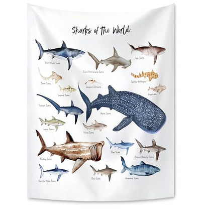 KAIOUS Shark Wall Hanging Tapestry for Kids, 28x38 - color: Shark, size: 38"L x 28"W