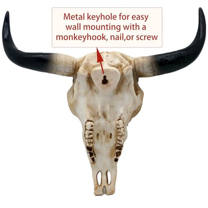 alikiki Western Cow Skull Wall-Decor - Realistic Animal Head Wall Hanging