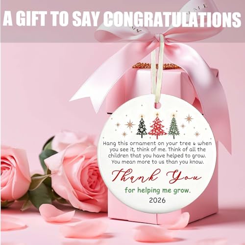 Christmas Ornaments 2026 - Thank You Gifts - Appreciation, Boss Day Ideas for Women, Men, Coworkers, Bosses, Teachers - Retirement, Farewell, Going Away - color: Thank You05