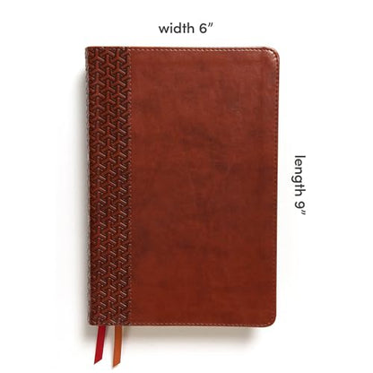 CSB Everyday Study Bible, British Tan LeatherTouch, Black Letter, Study Notes, Illustrations, Aricles, Easy-to-Carry, Easy-to-Read Bible Serif Type