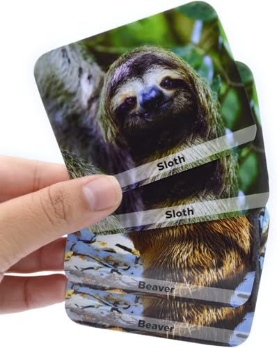 Menique Wild Animals Memory Matching Game – 80 Cards (40 Pairs) with Real Photos – Includes Educational Booklet with Animal Facts – Fun & Cognitive Game for Kids and Adults - style: Wild Animals