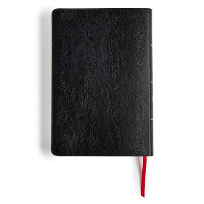 CSB Everyday Study Bible, Black Bonded Leather, Black Letter, Study Notes and Commentary, Illustrations, Articles, Charts, Easy-to-Carry, Easy-to-Read Bible Serif Type