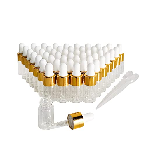 50PCS Transparent Sample Dropper Bottles, 3 ml Mini Essential Oil Dropper Bottles, Perfume Bottles with 2 Plastic Droppers for Travel Test Samples