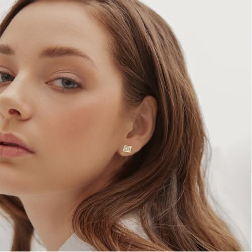 NEWITIN 24 Pairs Stainless Steel Earrings for Men Hypoallergenic Inlaid Cubic Zirconia Studs Hoop Earring Cross Dangle Earrings Unisex Punk Stud Earring for Women Men - color: Cubic Zirconia