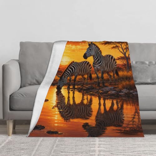 jerkboo African Zebra Throw Blanket Gift 40"x50" - color: African Zebra, size: 50"x40"