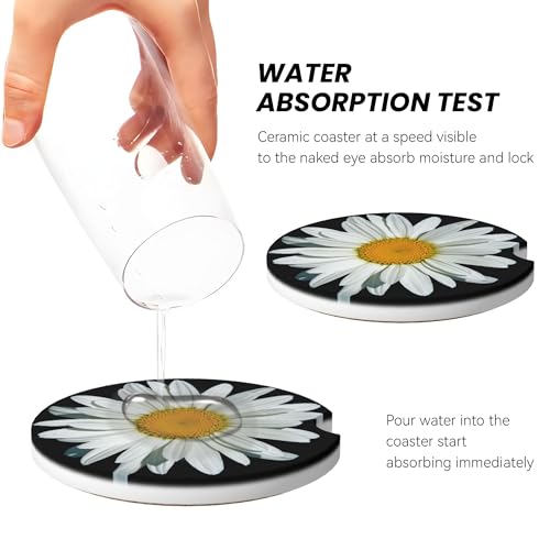 Daisy Flower Car Cup Holder Coasters 2 Pack 2.63" for Women - color: Clear