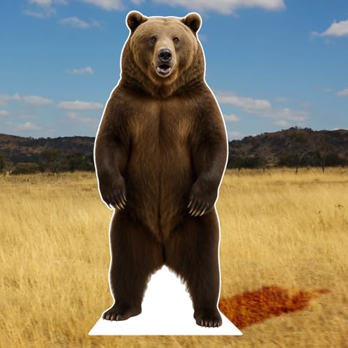 Bear 1FT Life Size Cardboard Cutout, Safari, Alaskan Animals - color: Bear, size: 1FT