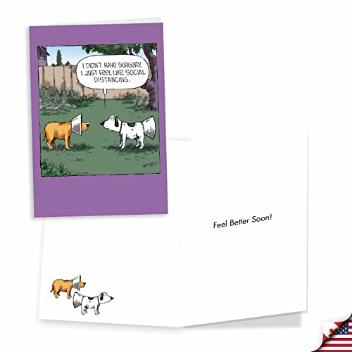 NobleWorks Assortment Pack of 3 Funny Sassy Senior Get Well Greeting Cards with Envelopes, Fell Better Cartoon Humor for Men and Women Variety Pack (3 Designs, 1 Each) Well Wishes VC7989GWG-C1x3 - style: Well Wishes