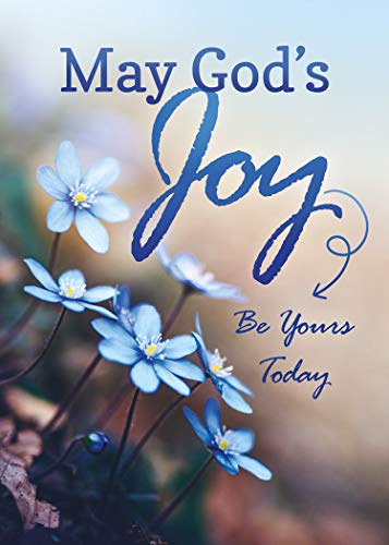 Lift Your Spirits - NIV Scripture Greeting Cards - Get Well - (Box of 12)