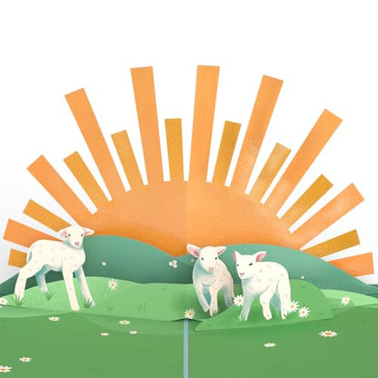 Lovepop Happy Easter Lambs Pop-Up Card with Notecard & Envelope, 5x7 - color: Happy Easter Lambs