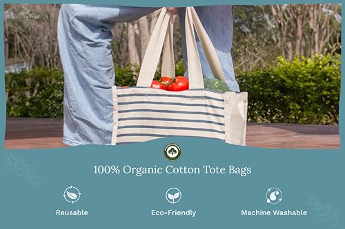 Best Canvas Grocery Shopping Bags - Cloth Grocery Tote Bags - Reusable Cotton Grocery Tote Bags with Bottle Sleeves - color: Blue Stripes