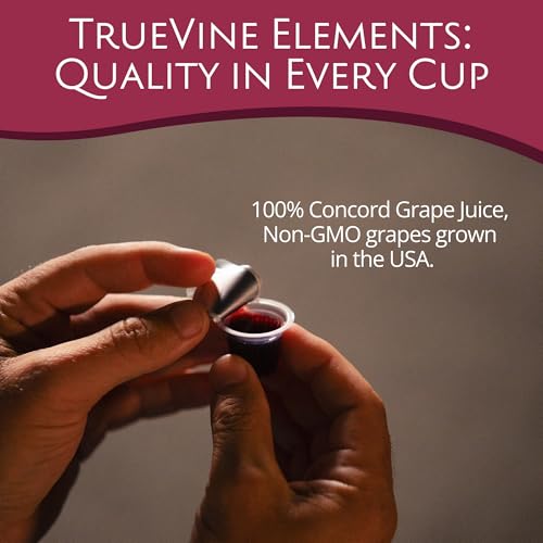 TrueVine Elements Gluten-Free Prefilled Communion Cups & Wafer Set (600 Ct) - size: 600 Count (Pack of 1)