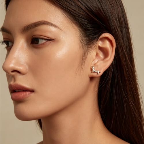 Cute Stud Earrings for Women Dachshund Koi Fish Sea Star Sea Turtle Sea Conch Earrings 14K Gold Plated Dainty Stud Earring funky Jewerly - color: Silver Dachshund