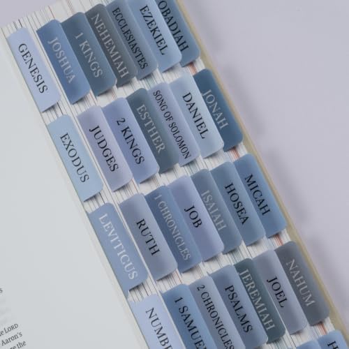 UPAFEXXI-Laminated Bible Tabs with Book Summaries, Bible Study Supplies - color: Summaries Blue2