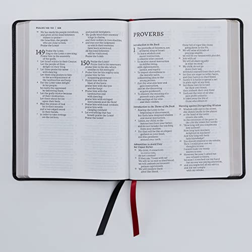 NET Bible, Thinline Large Print, Genuine Leather, Black, Comfort Print: Holy Bible