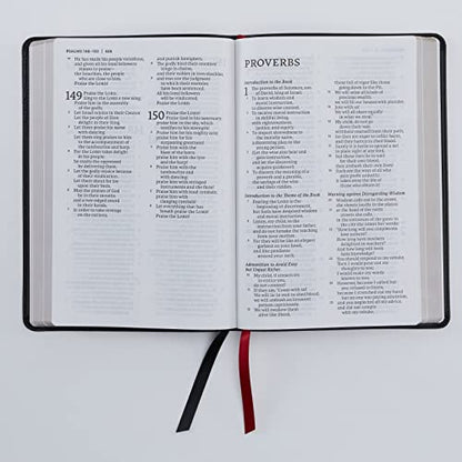NET Bible, Thinline Large Print, Genuine Leather, Black, Comfort Print: Holy Bible
