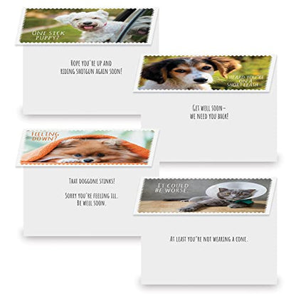 Current Get Well Greeting Card Set - color: Furry Friends