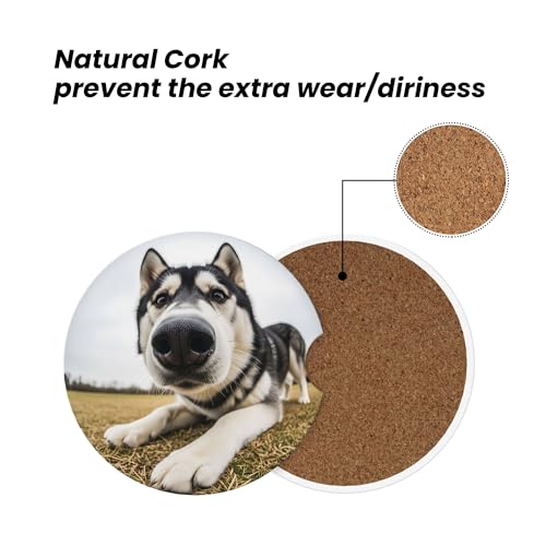 Car Coasters for Cup Holder 2 Pack - Dog - color: Dog