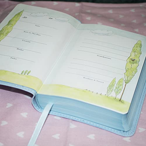 ICB, Really Woolly Holy Bible for Toddlers, Pink Leathersoft: International Children's Bible – Helping Little Hearts Grow in God's Love