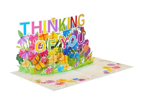 3D Thinking Of You Card, Pop Up Sympathy Cards with Envelopes, Sorry for Your Loss Card, Religious Pop Up Sympathy for Loss of Loved one, Pop Up Anniversary Cards (6x8 in Thinking of You) - color: Thinking of You