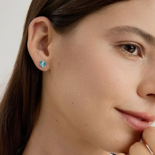 Cute Stud Earrings for Women Dachshund Koi Fish Sea Star Sea Turtle Sea Conch Earrings 14K Gold Plated Dainty Stud Earring funky Jewerly - color: Silver Sea Star
