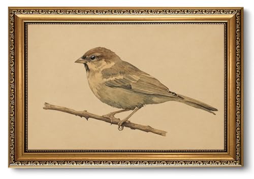 Vintage Bird Wall Art Gold Framed Sparrow on Branch Animal Wall Decor - color: Sparrow, size: 24"L x 16"W