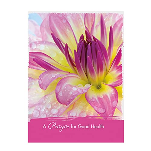 Paper Craft IG98642-RE Religious Get Well Soon Card Set with Envelopes, 12 Cards, 4.75'' W x 6.5'' H, Puppy, Floral, and Landscape Photography