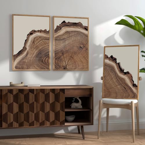 SIKERIC Framed Nature Tree Ring Wall Art, (16X24 inch) Modern Wood Stump Canvas Wall Art Set Of 3,Large Wood Tree Spiral Art Prints, Abstract Wall Painting for Living Room, Bedroom, Office - color: Nature Tree Ring, size: 16"L x 24"W
